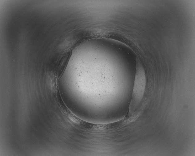 X0000057560624200509231201