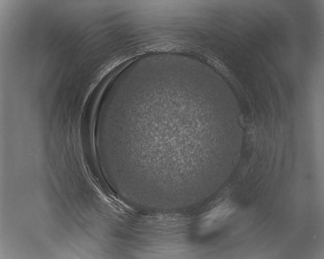 X0000057560626200509231200