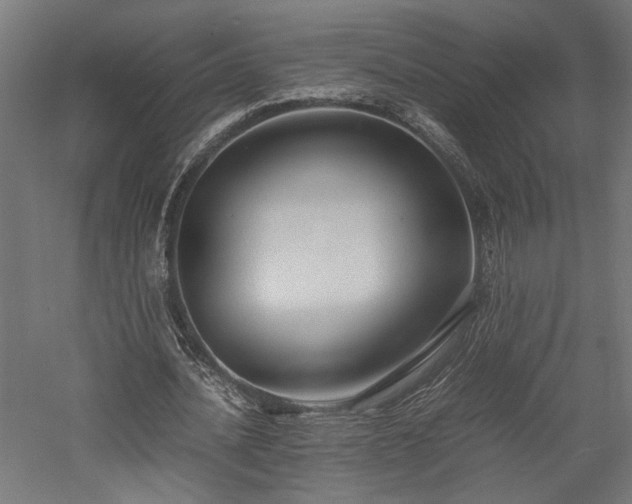 X0000057560628200509231200