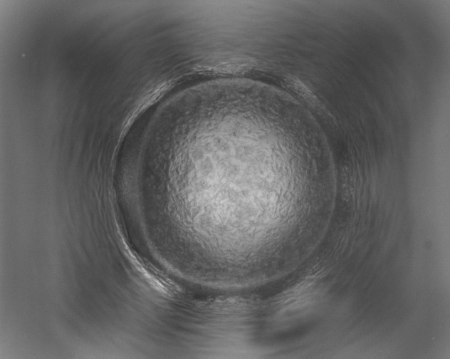 X0000057560634200509231200