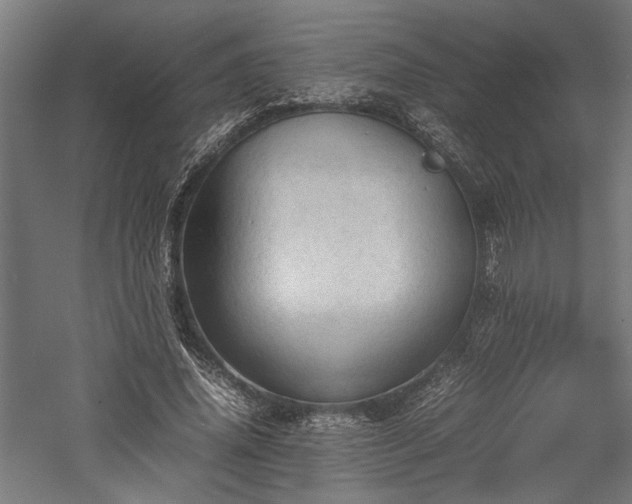 X0000057560636200509231200