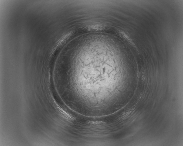 X0000057560637200509231200