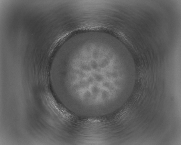 X0000057560640200509231200