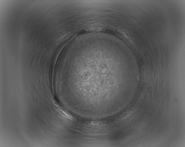 X0000057560641200509231200