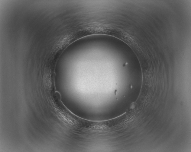 X0000057560642200509231200