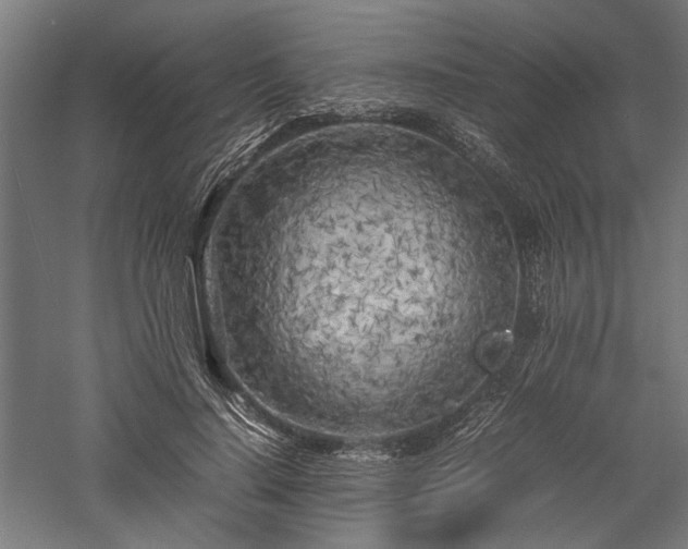 X0000057560644200509231200