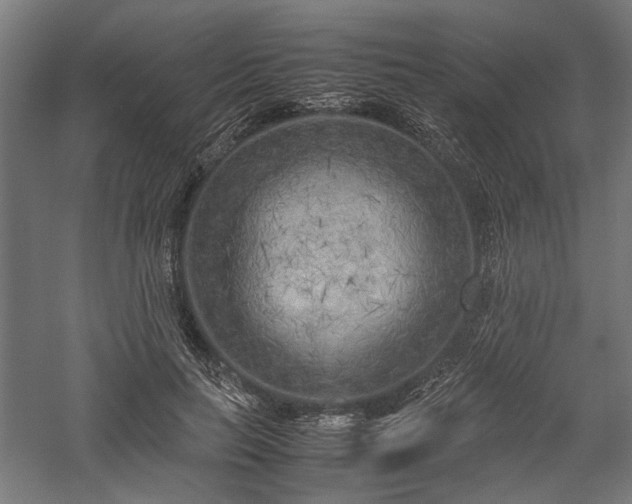 X0000057560647200509231200