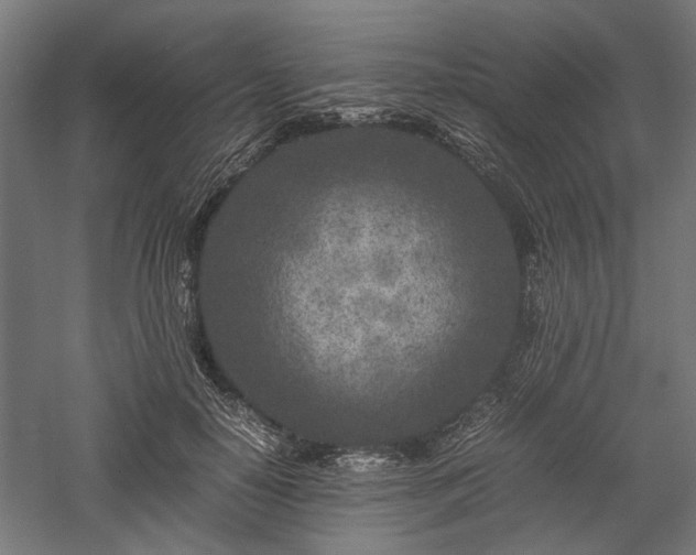 X0000057560650200509231200