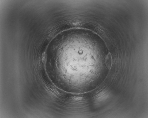 X0000057560651200509231200