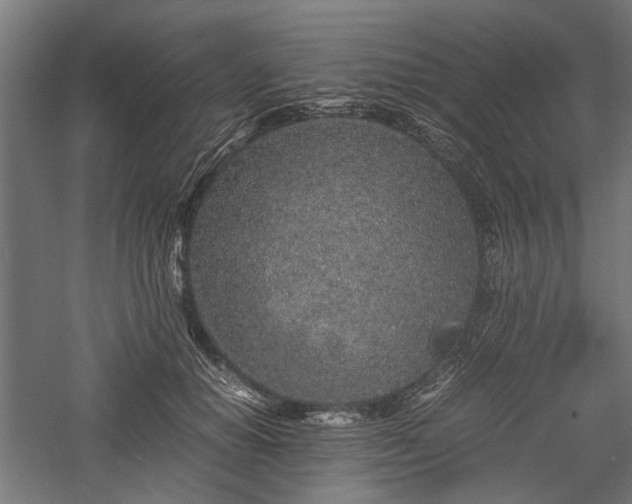 X0000057560654200509231200