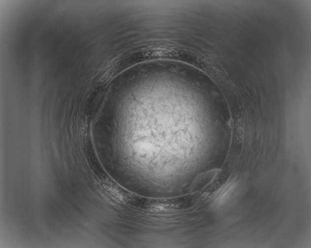 X0000057560657200509231200