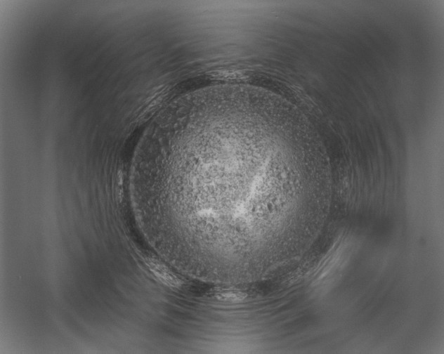 X0000057560658200509231200