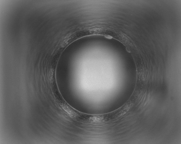 X0000057560660200509231200