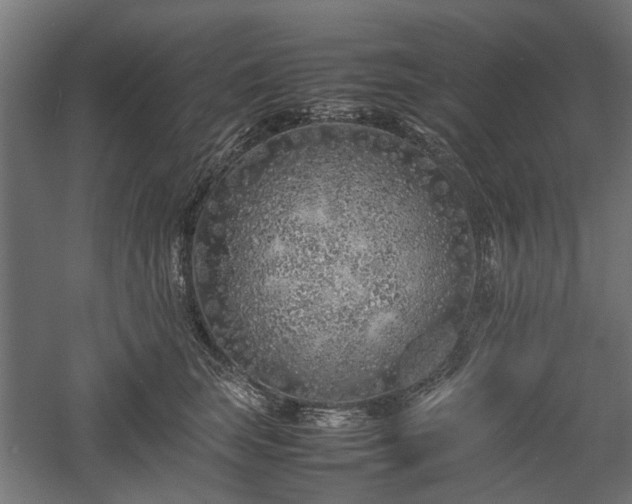 X0000057560663200509231201