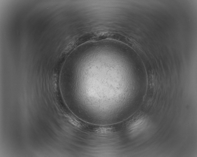 X0000057560664200509231201