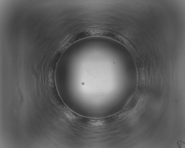 X0000057560667200509231201