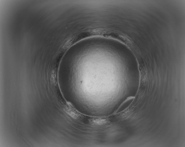 X0000057560669200509231201