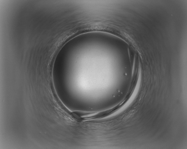 X0000057560673200509231200