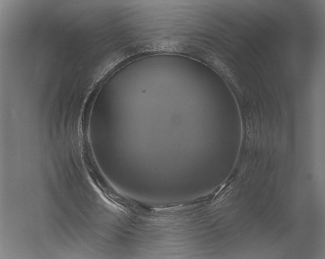 X0000057560674200509231200