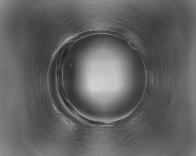 X0000057560676200509231200