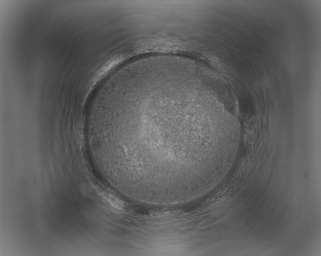 X0000057560679200509231200