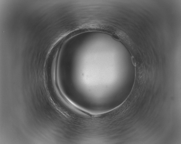 X0000057560680200509231200