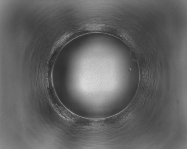 X0000057560682200509231200