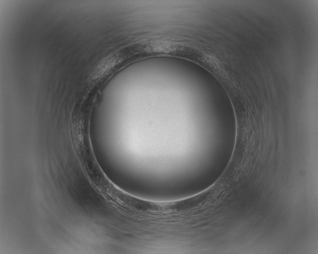 X0000057560683200509231200