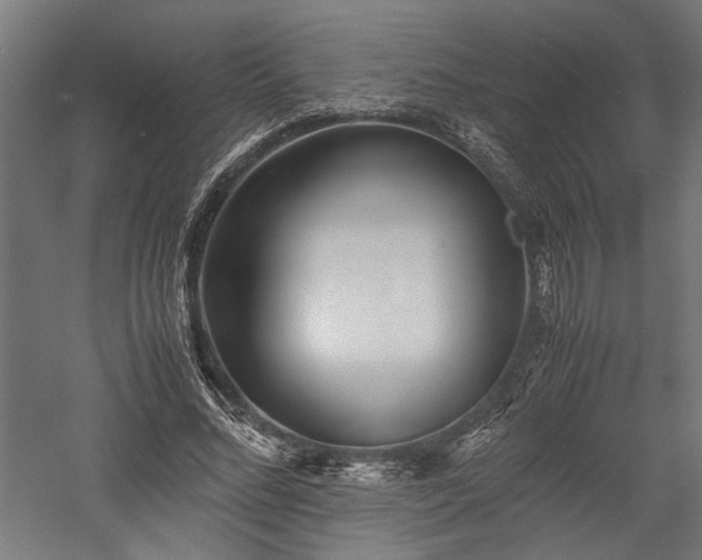 X0000057560684200509231200