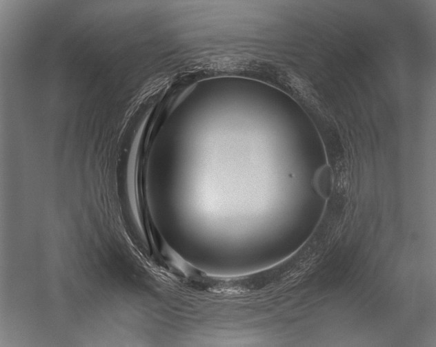 X0000057560685200509231200