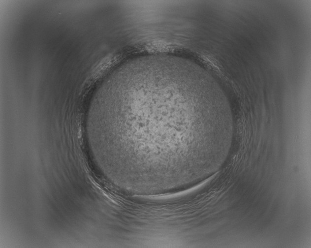 X0000057560687200509231200