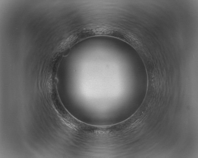 X0000057560690200509231200