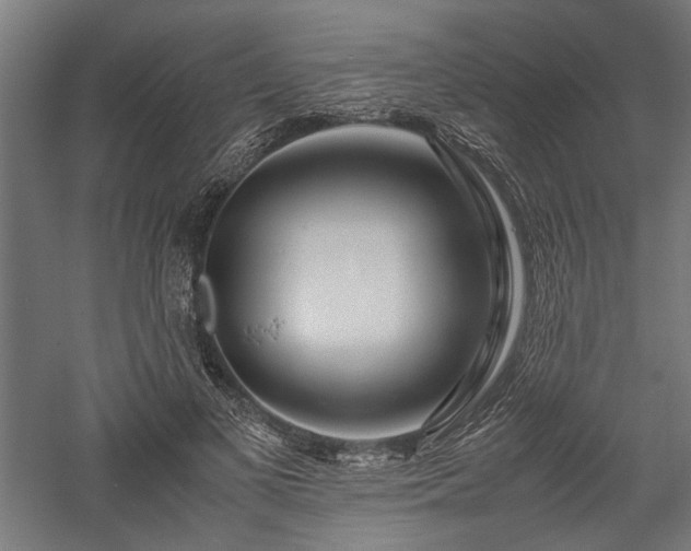 X0000057560693200509231200