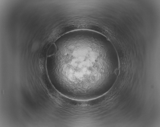 X0000057560695200509231159