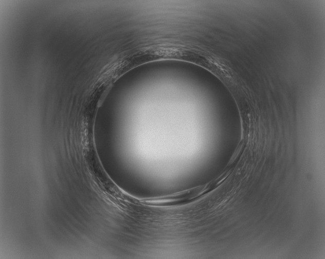 X0000057560696200509231159