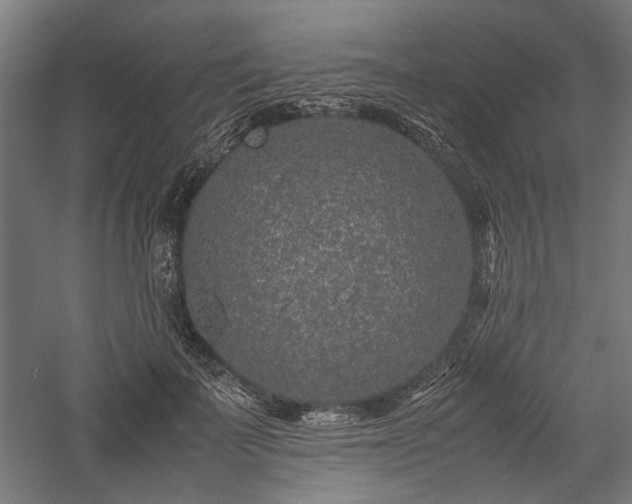 X0000057560699200509231159