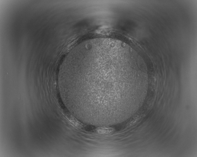 X0000057560707200509231159