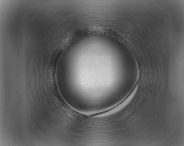 X0000057560708200509231159