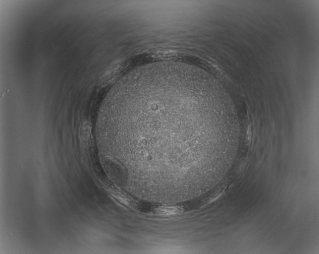 X0000057560711200509231159