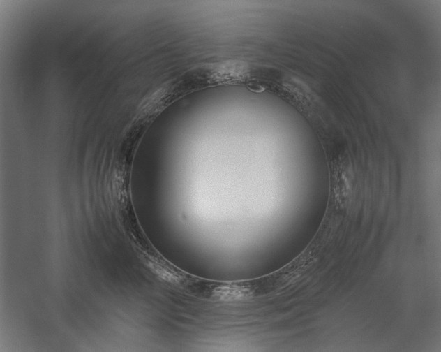 X0000057560714200509231159