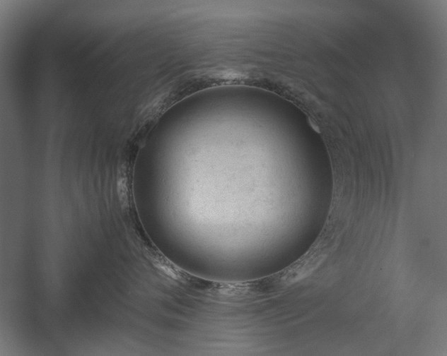 X0000057560720200509231159