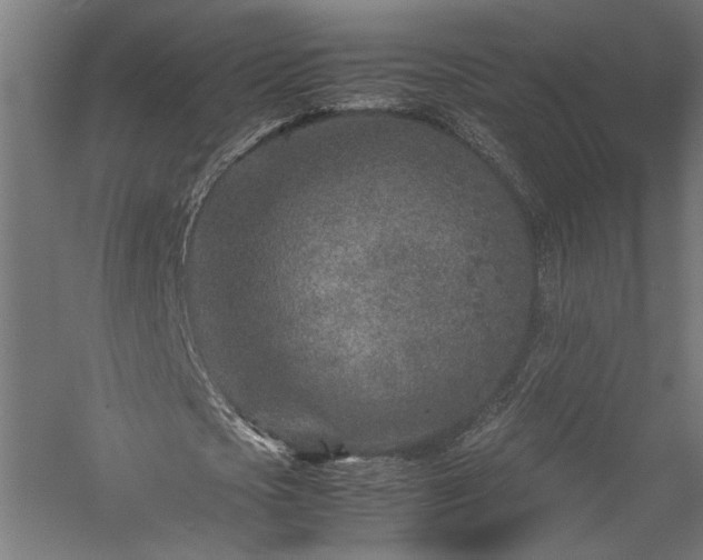 X0000057560721200509231158