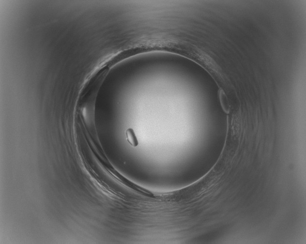 X0000057560722200509231158