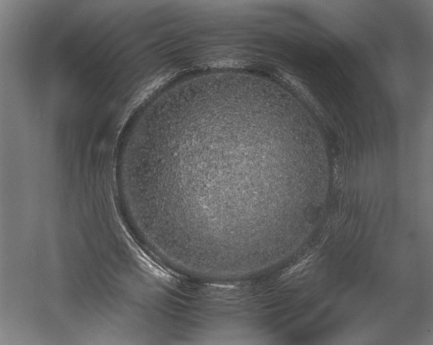 X0000057560725200509231158