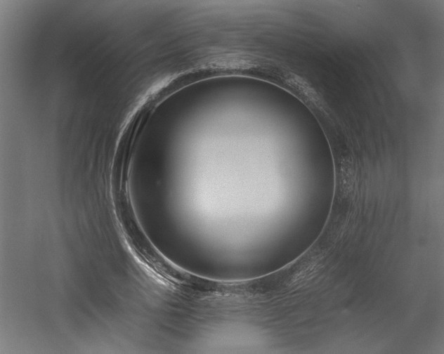 X0000057560726200509231158