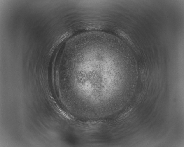 X0000057560729200509231158