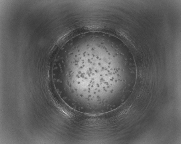 X0000057560733200509231158