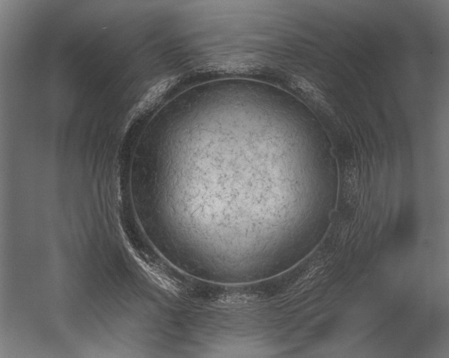 X0000057560734200509231158