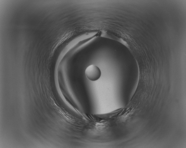 X0000057560735200509231158