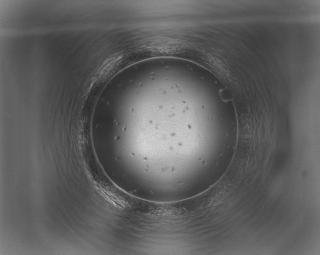 X0000057560738200509231159